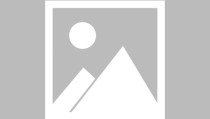 综合格斗排名欧洲自由游泳海滩图片中超最新积分战报排球国际比赛长视频